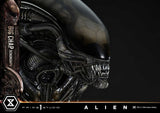 Alien Museum Masterline XL Statue 1/3 Big Chap Xenomorph Regular Ver. 100 cm
