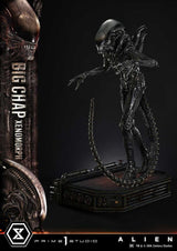 Alien Museum Masterline XL Statue 1/3 Big Chap Xenomorph Regular Ver. Bonus Version 100 cm