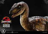 Jurassic Park Prime Collectibles Statue 1/10 Velociraptor Open Mouth 19 cm
