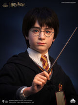 Harry Potter Bust 1/1 Harry 76 cm