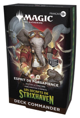 Magic the Gathering Les secrets de Strixhaven Commander Decks Case (5) french